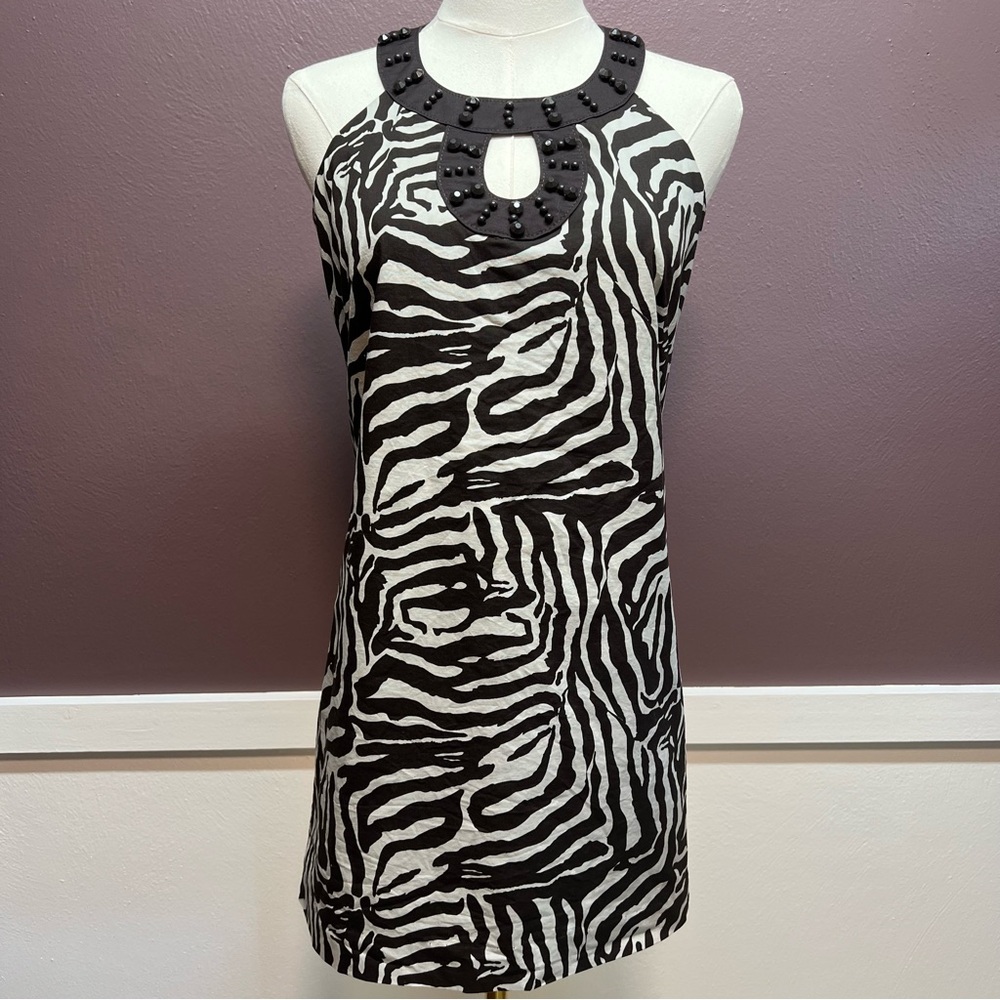 Loft Zebra Print Sleeveless Dress